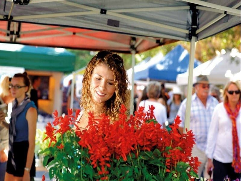 Connect Coaches Market & Shopping Days Connect Coaches Market & Shopping Days